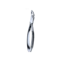  Extracting Forceps American Pattern